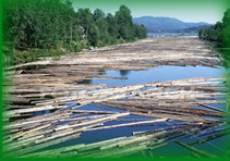 log homes, log cabins, logs down river